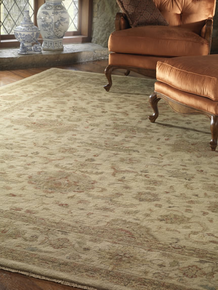 Oriental rug in a living room Oriental Rug 2